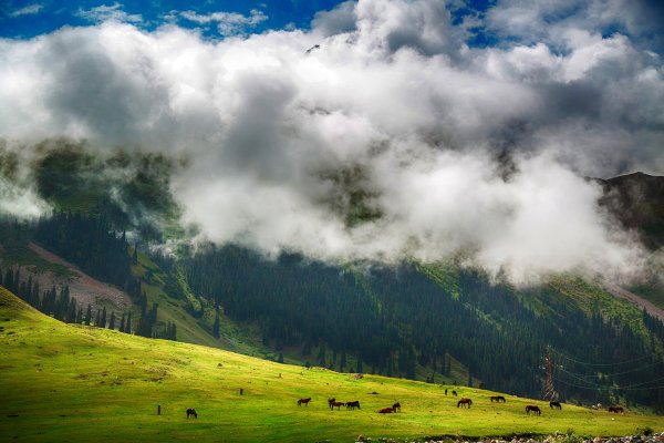Природа Кыргызстана. Автор фото: Юлия Шевченко