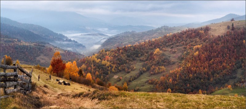 осенние фотографии – Автор Влад Соколовский