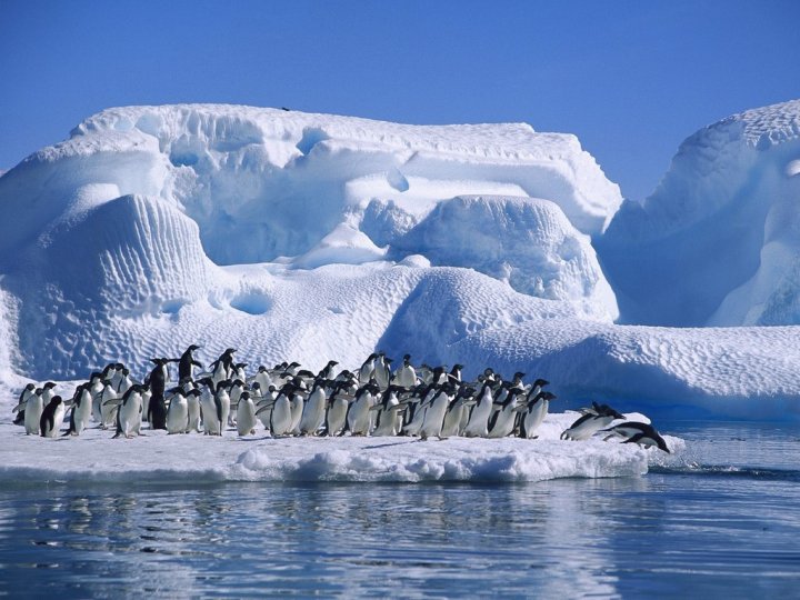 Фото Антарктиды 22
