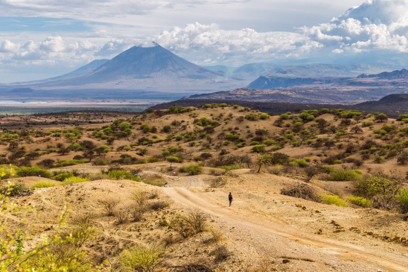 Путешествие по национальным паркам Танзании. Автор фото: Сергей Андрейчук