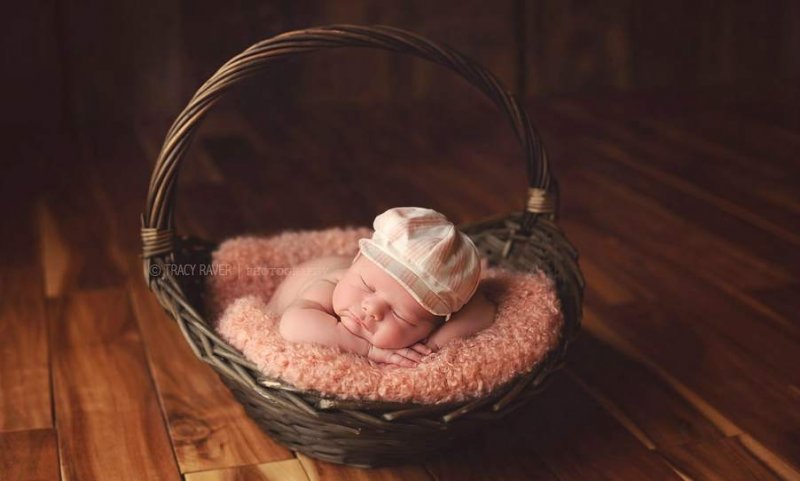 Спящие младенцы в фотографиях Трейси Рейвер - №17