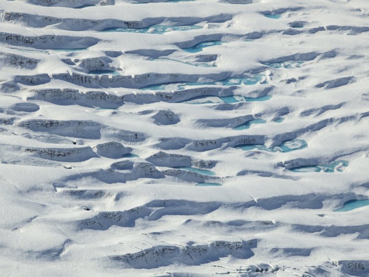 Арктика в фотографиях Дайан Тафт - №11