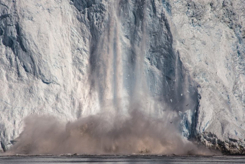 Арктика в фотографиях Дайан Тафт - №15