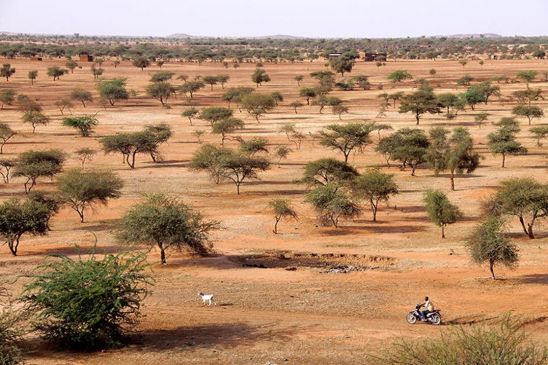 Буш. Гором Гором, Буркина-Фасо