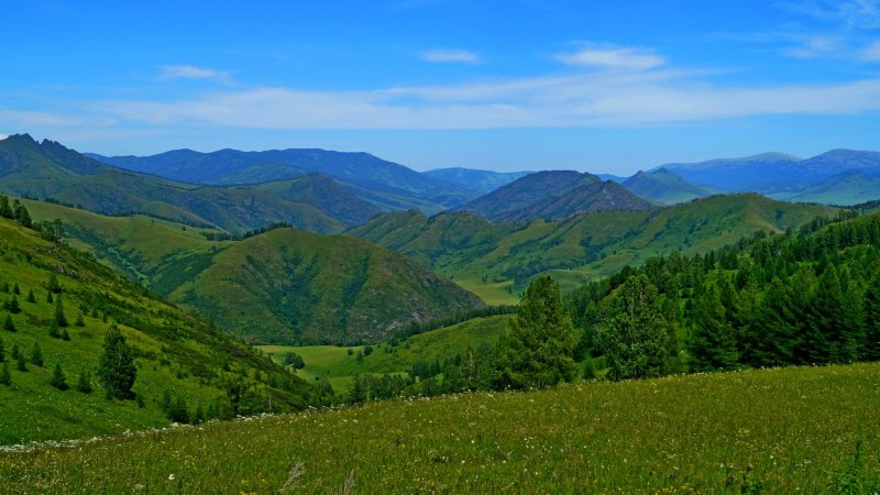 В окресностях