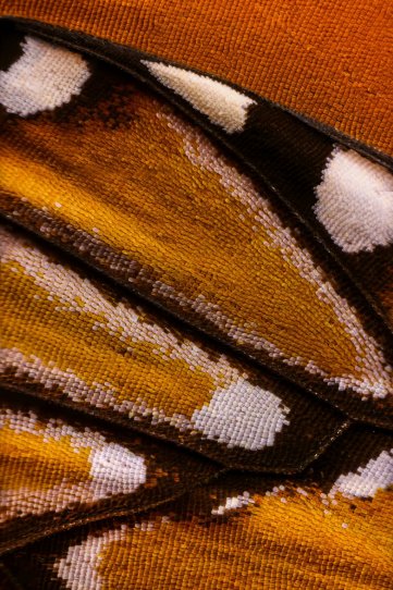 «Крылья бабочек». Фотограф Крис Перани - №16