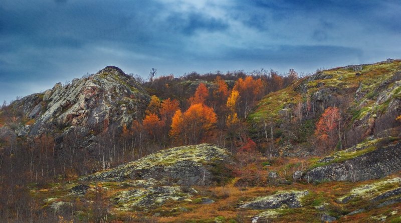 Где-то, на южном берегу далекого Баренцева моря…