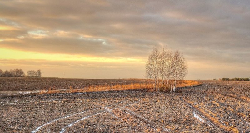 Поздняя осень