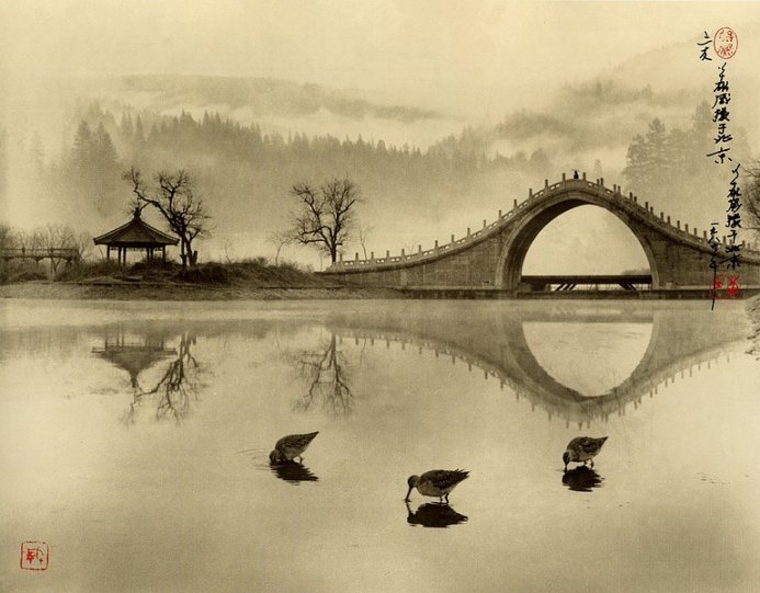 Фотограф Don Hong-Oai - №2