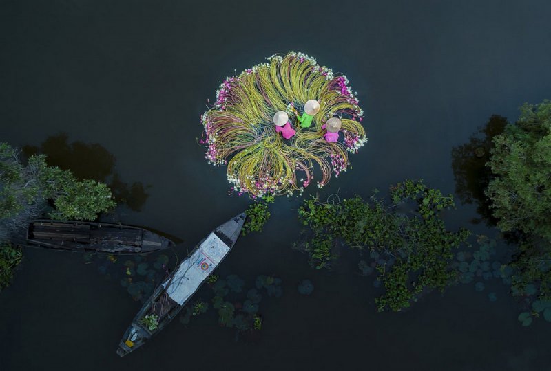 Победитель в категории «Люди». «Цветы на воде». Автор фото: Кхан Фан.