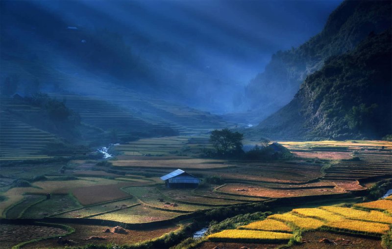 Великолепные рисовые террасы Вьетнама - №3
