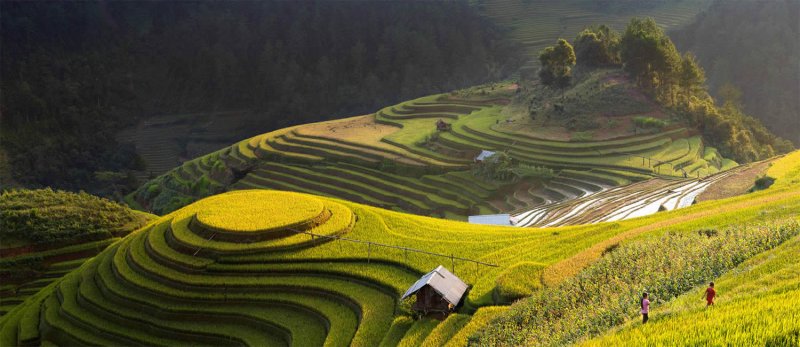 Великолепные рисовые террасы Вьетнама - №11