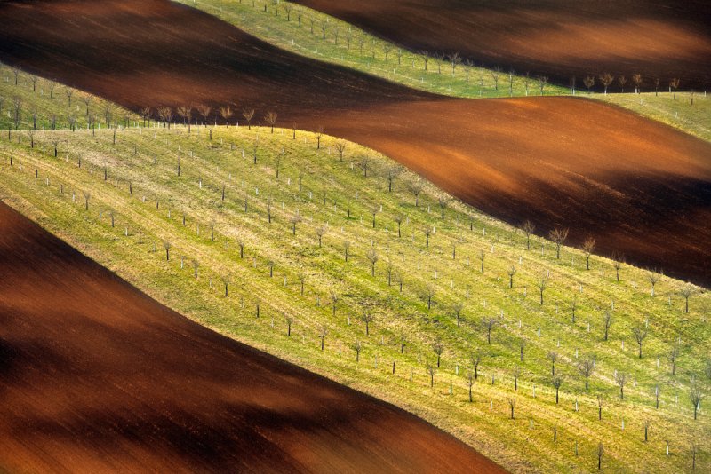 Фотограф Гжегож Левандовски - №11