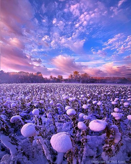 Phil Koch - №2