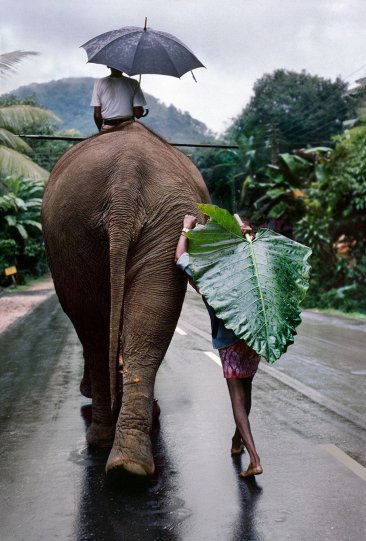 Молодой человек со слоном, Шри-Ланка, 1995