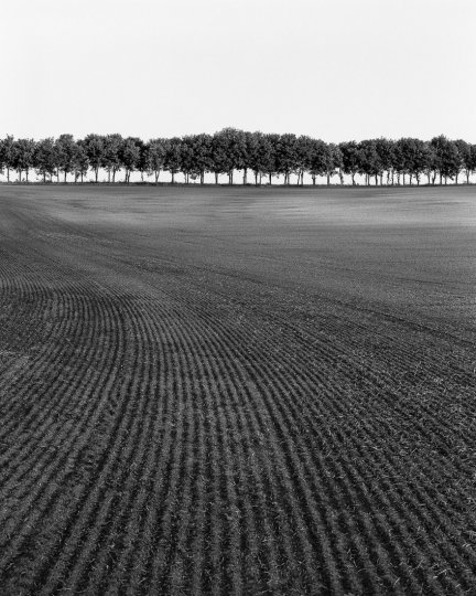 «Вспаханное поле». Фотограф Роберт Ковач.