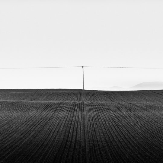 «Поле фермера Дугласа». Фотограф Даррен Кентиш.