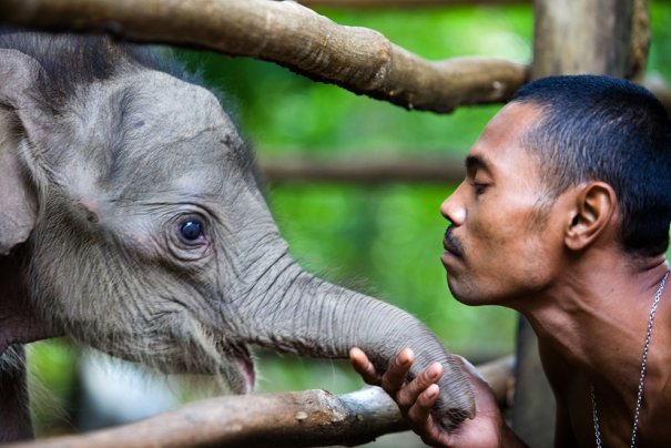 Chaideer Mahyuddin/AFP/GettyImages