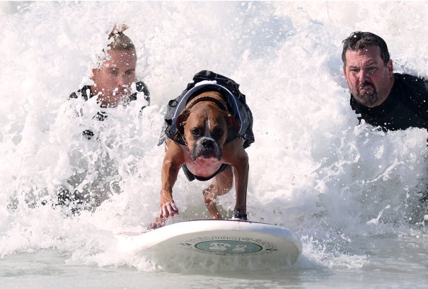 Joe Klamar/AFP/GettyImages