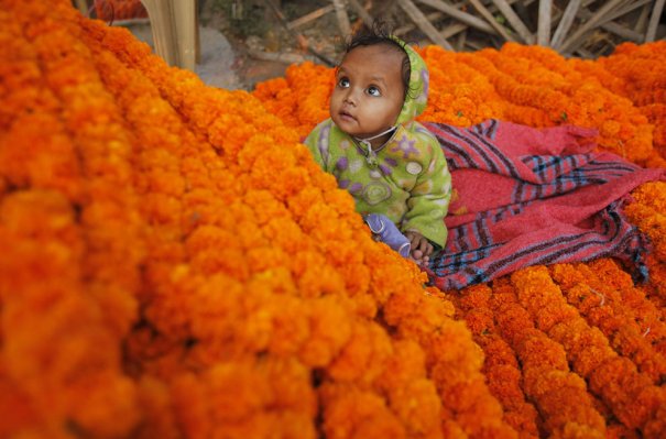 AP Photo/Rajesh Kumar Singh