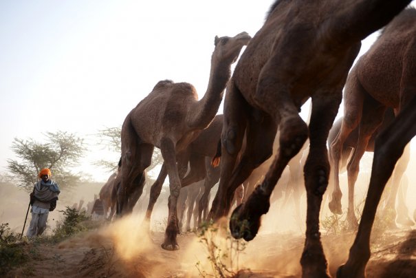 Roberto Schmidt/Agence France-Presse/Getty Images