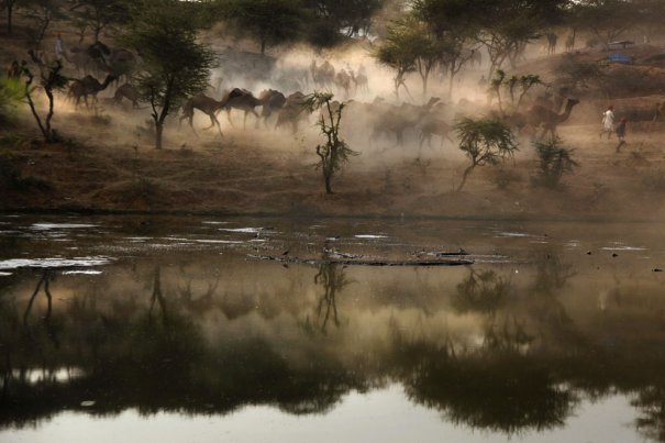 AP Photo/Rajesh Kumar Singh