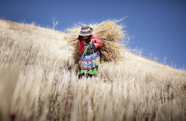 © Alejandro Kirchuk/National Geographic Photo Contest