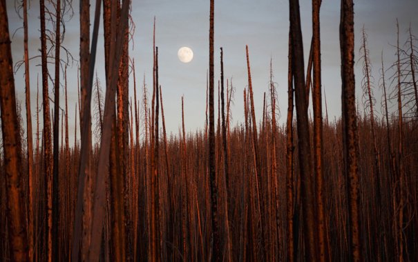 © Chaoying Zhao/National Geographic Photo Contest