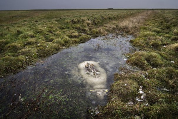 © Johannes Bojesen/National Geographic Photo Contest