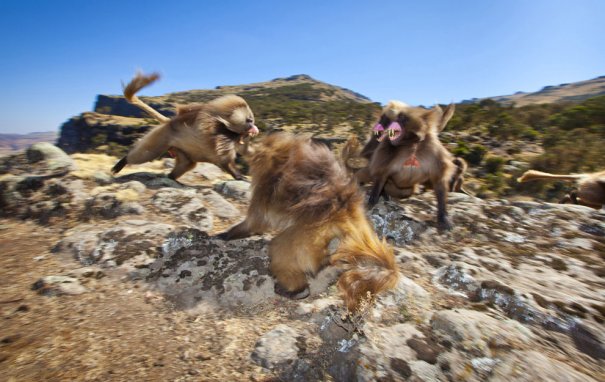 © Thomas Alexander/National Geographic Photo Contest