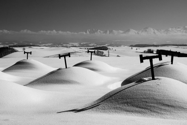 © Kent Shiraishi/National Geographic Photo Contest