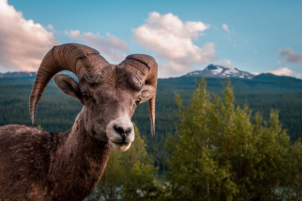 © Scott Trageser/National Geographic Photo Contest