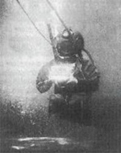 Подводная фотография Уильяма Томпсона