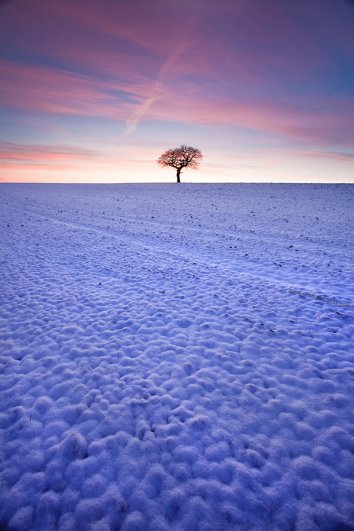 фотограф