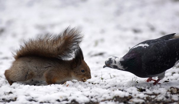 Sergei Grits/Associated Press