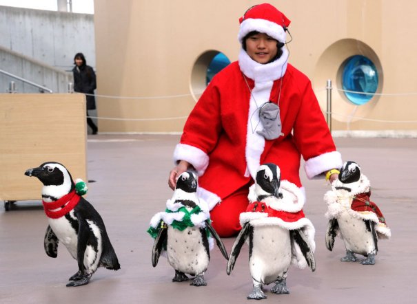 Yoshikazu Tsuno/AFP/Getty Images