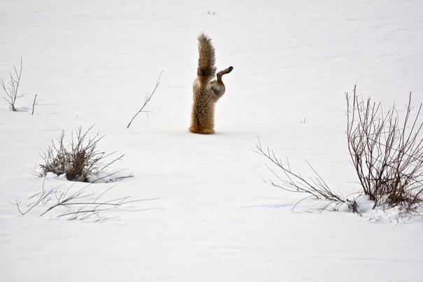 © Micheal Eastman/National Geographic Photo Contest