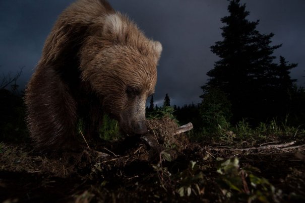 © Jason Ching/National Geographic Photo Contest