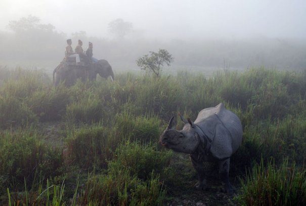 AP Photo/Denis Gray