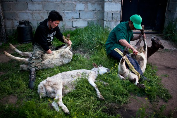 Taylor Weidman/The Vanishing Cultures Project