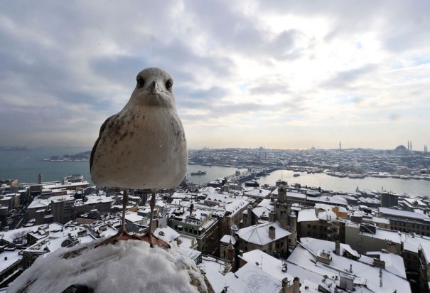 Bulent Kilic/AFP/Getty Images