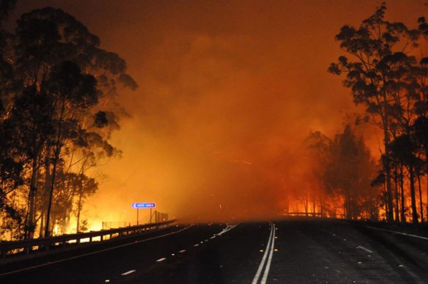 AP Photo/NSW Rural Fire Service, James Morris