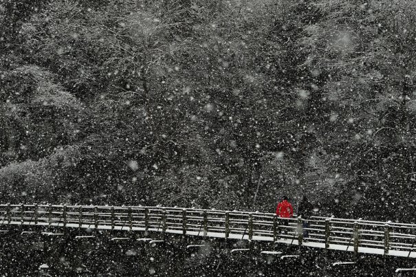 Paul Ellis/AFP/Getty Images