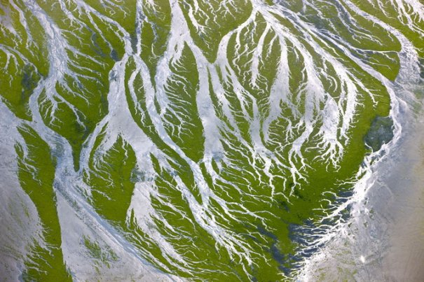 Фотограф Ян Артюс-Бертран/Yann Arthus-Bertrand - №18