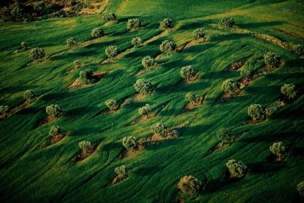 Фотограф Ян Артюс-Бертран/Yann Arthus-Bertrand - №19