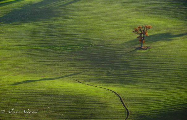 фотограф