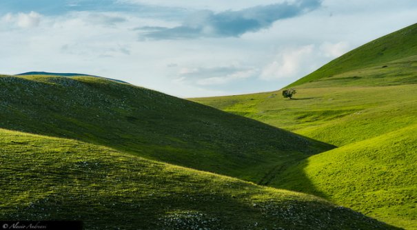 пейзаж