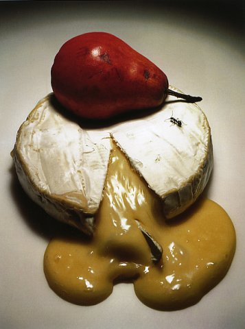 Irving Penn. Still life - №17