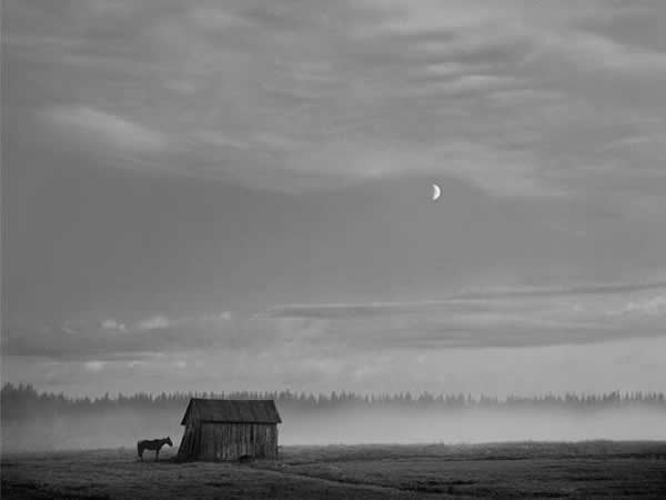 Фотограф Pentti Sammallahti - №13