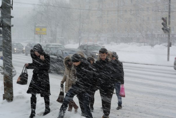 Шаблов Андрей Евгеньевич